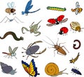 Set of cartoon invertebrate animals insects, worms and molluscs isolated on white Royalty Free Stock Photo